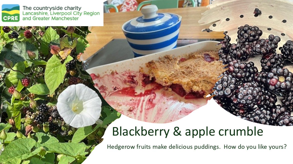 This weekend was perfect for collecting blackberries and making a crumble.  Lots of different ways to eat blackberries, but leave some for birds.  How do you like yours? <a href="/WomensInstitute/">Women's Institute</a> <a href="/leponline/">Lancashire Post</a> <a href="/BBCFoodProg/">The Food Programme</a>