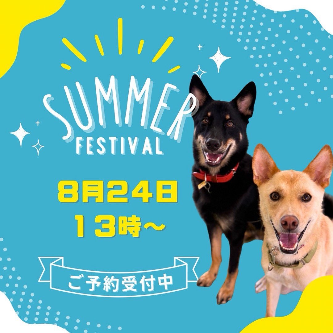 bremen_school's tweet photo. 🌻【今週末に...】

特別オープンキャンパスが8/24(日)に開催です🔥

動物業界に興味がある方はぜひ遊びに来てください！
今週の日曜日、13時からスタートです☀️

#ブレーメン #動物 #専門学校 
#オープンキャンパス
#動物看護師 #トリマー 
#ドッグトレーナー #飼育員 https://t.co/Fg4wVqAEMP