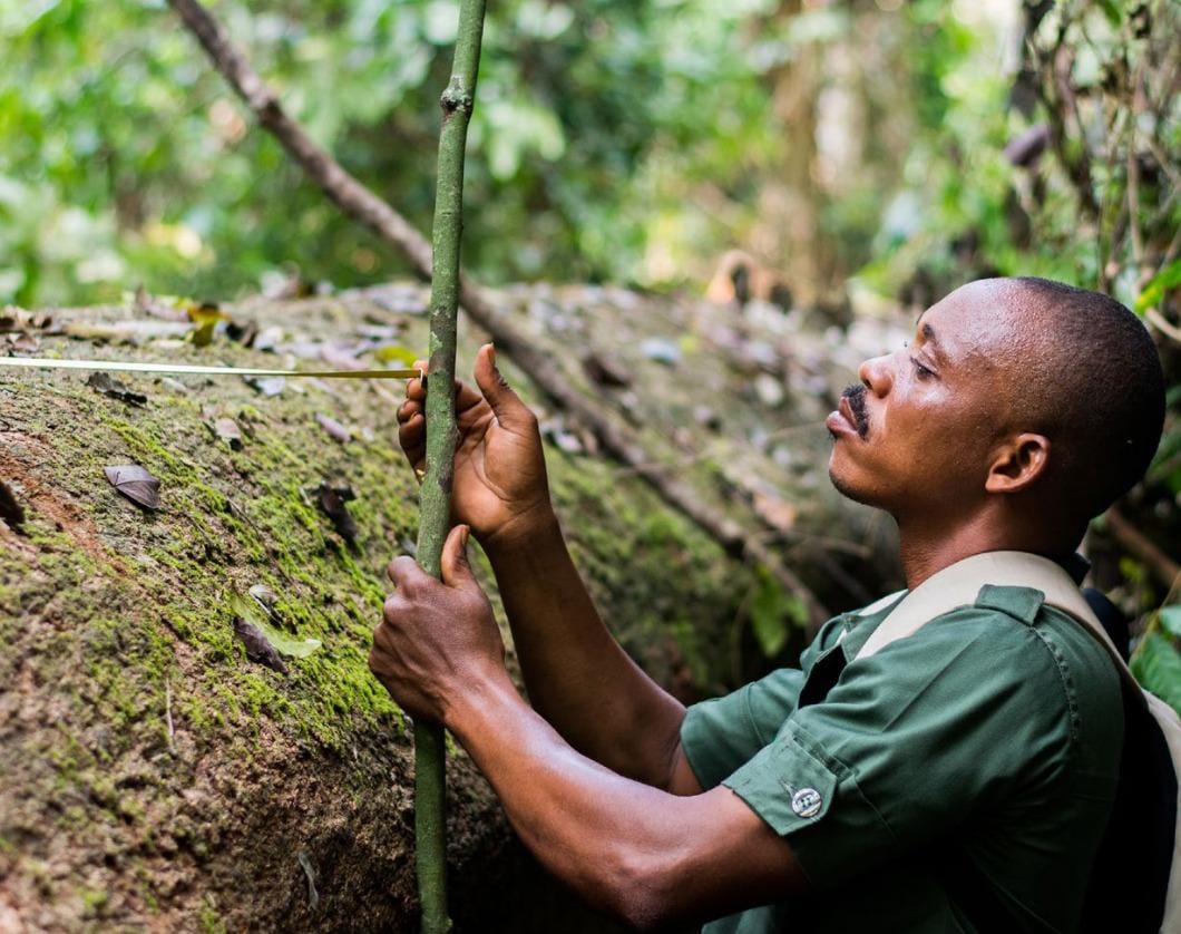 European Union in Ghana tweet media