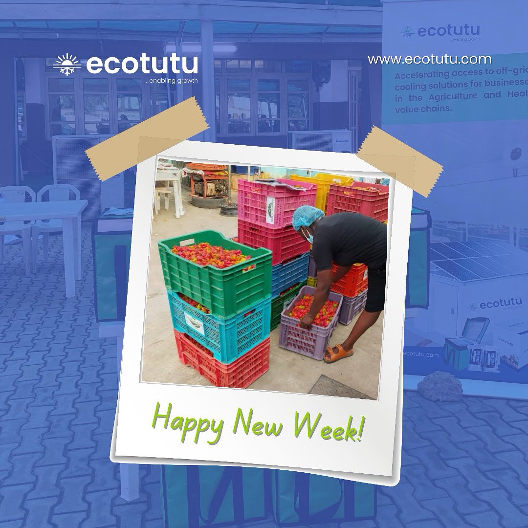 ecotutu's tweet image. Happy new week champs! 💚 

Let freshness lead the way With Ecotutu cold storage, your harvest stays fresh, profits grow &amp;amp; waste drops. Here’s to cool wins all week! 

#HappyNewWeek #EnablingGrowth #ColdStorageNigeria