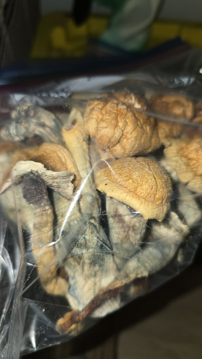 Anyone 🍄🍄‍🟫?