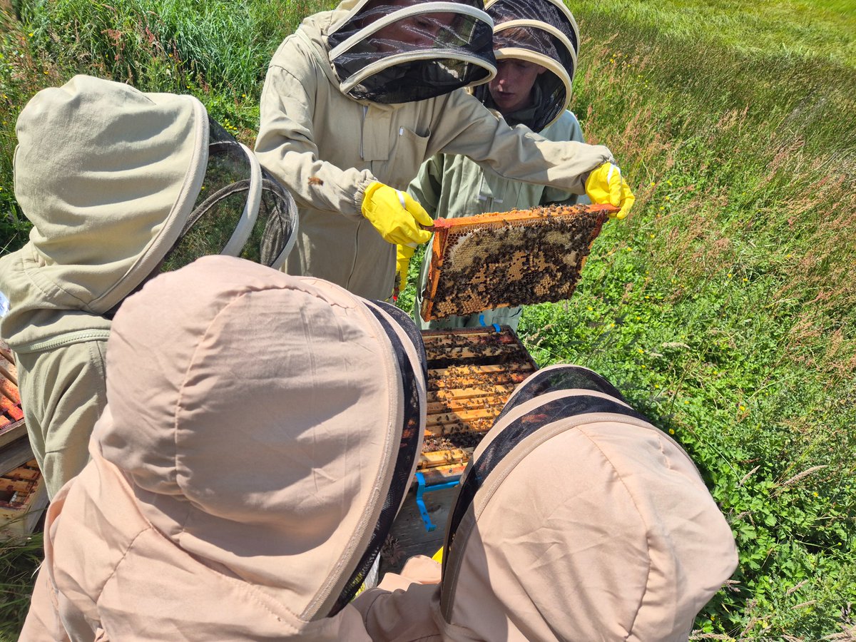 Garnock HE CS DYW (@garnockhe_cs) on Twitter photo Our BeeHavin Team have been busy looking after our bees this summer!🐝 We appreciate all your efforts, especially on the really hot days 🌞🥵 Speak to Mrs G if you want to join them on a Wednesday after school #Determination #Growth #Ambition #Kindness <a href="/GarnockCampus/">Garnock Community Campus</a> Our BeeHavin Team have been busy looking after our bees this summer!🐝 We appreciate all your efforts, especially on the really hot days 🌞🥵 Speak to Mrs G if you want to join them on a Wednesday after school #Determination #Growth #Ambition #Kindness <a href="/GarnockCampus/">Garnock Community Campus</a>