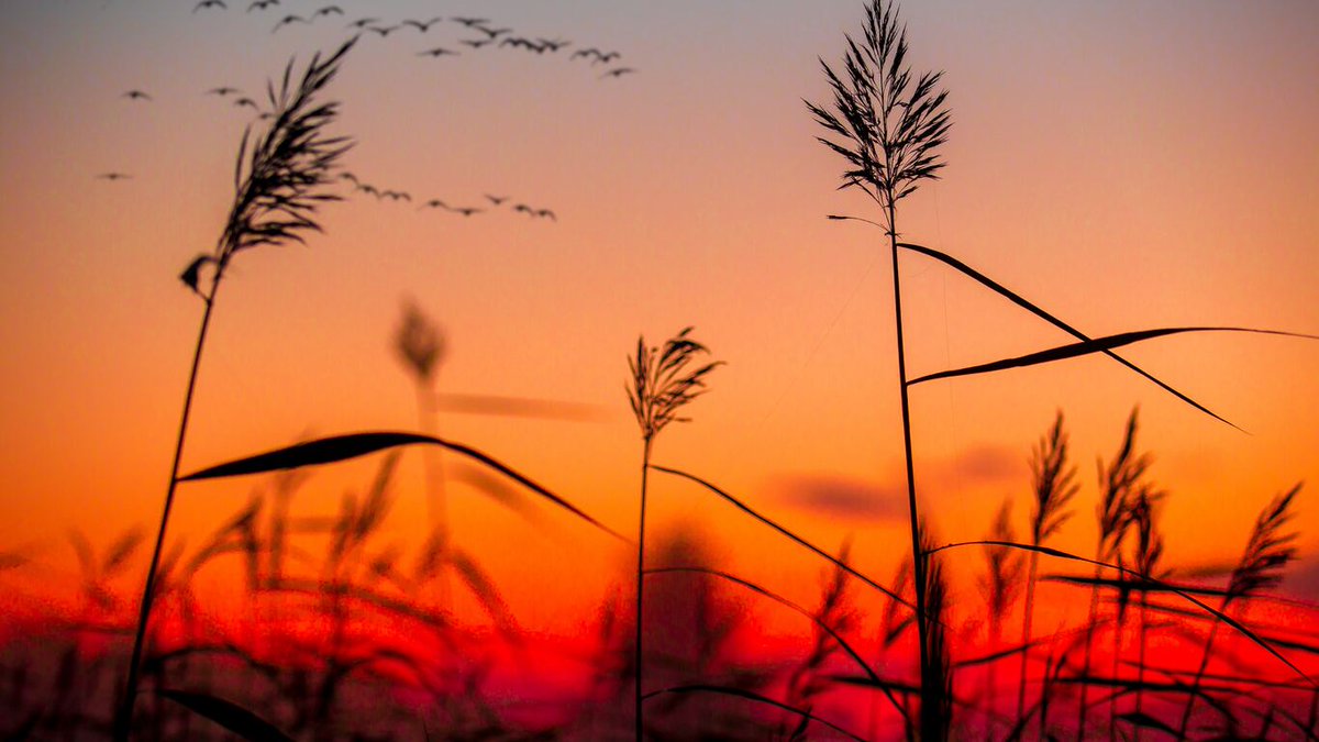 🌻🦋🌻🦋🌻🦋

Hoy es #DíadeReivindicacióndelosCuidadosPaliativos

Porque tenemos derecho a ser ayudados a no sufrir mientras llega el final y a que se ofrezca atención adecuada tras él a nuestros seres queridos para facilitar su duelo.

#DerechoNoPrivilegio
#AhoraMásQueNunca