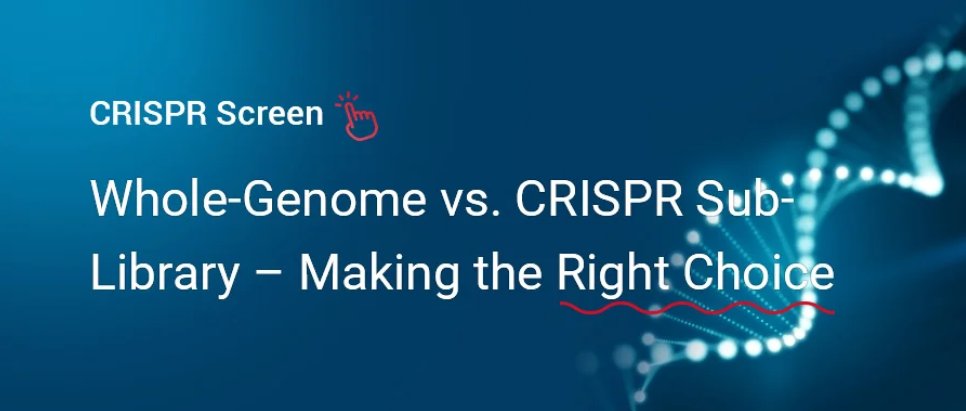 🎈Whole-genome vs. sub-library CRISPR screens! Go broad for discovery or focused for efficiency. Save cells &amp; boost power with sub-libraries.  🌻Optimize your genomics: ubigene.us/application/cr…
 #CRISPR #Genomics #Bioinformatics #geneediting #science #research #Biology