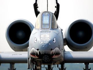 bigcatwar's tweet image. ...видимо скоро(на днях)появится акк bigcatwar2 это тоже самое ,как и bigcatwar1..Админ тут видимо поклонник хуйлоцапских...