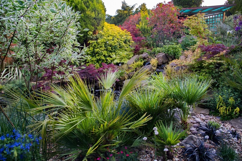 3 Oakhampton Road
Stourport-on-Severn, Worcestershire, DY13 0NR
Opening times August 24th -25th
10:00 - 17:30
findagarden.ngs.org.uk/.../34881/3-oa…