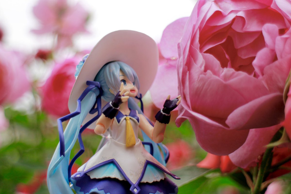 #深夜の初音ミク撮影60分一本勝負

👉 8/18のお題【観察】

お花をじっくり観察👀

＃なまらってぃ　＃figmaster