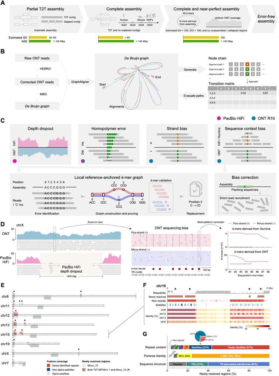 A complete and near-perfect rhesus macaque reference genome: lessons from subtelomeric repeats and sequencing bias. #RhesusMacaque #ReferenceGenome #T2T #Genomics <a href="/biorxiv_genomic/">bioRxiv Genomics</a> 
biorxiv.org/content/10.110…