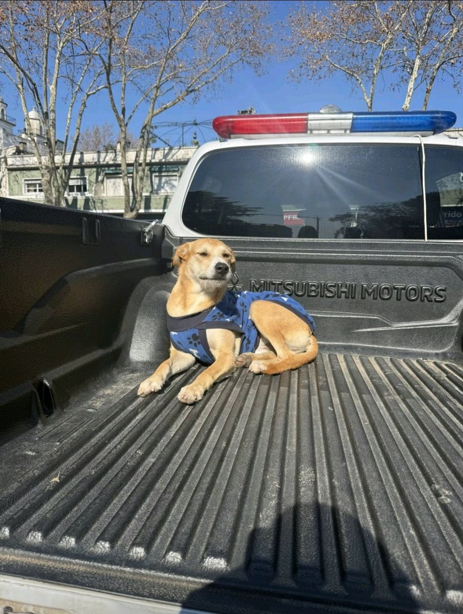 El que las hace las paga.