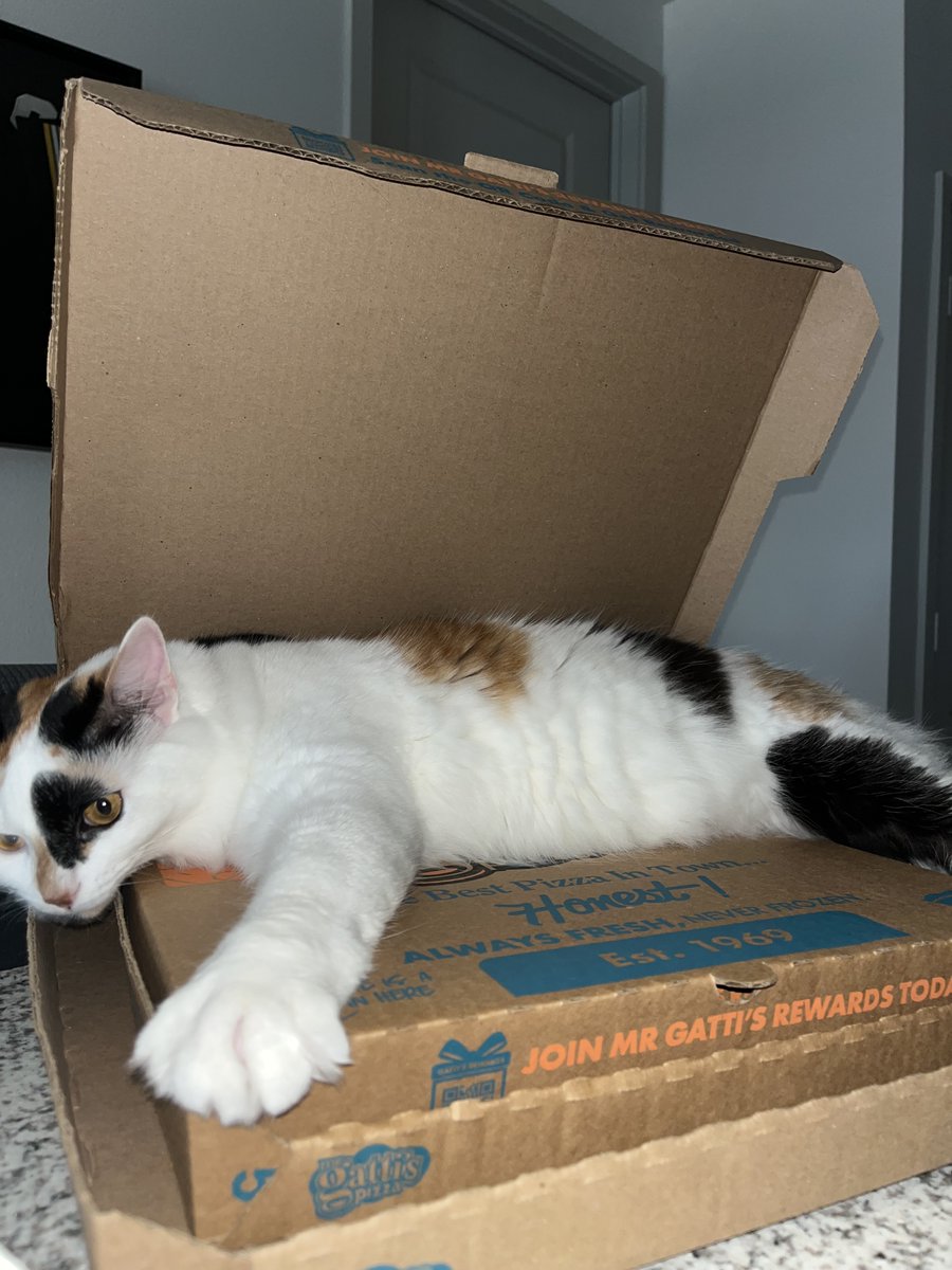 mrgattis's tweet image. Me when someone asks if they can have a slice of my Mr Gatti’s Pizza! 🫠 #notsharing