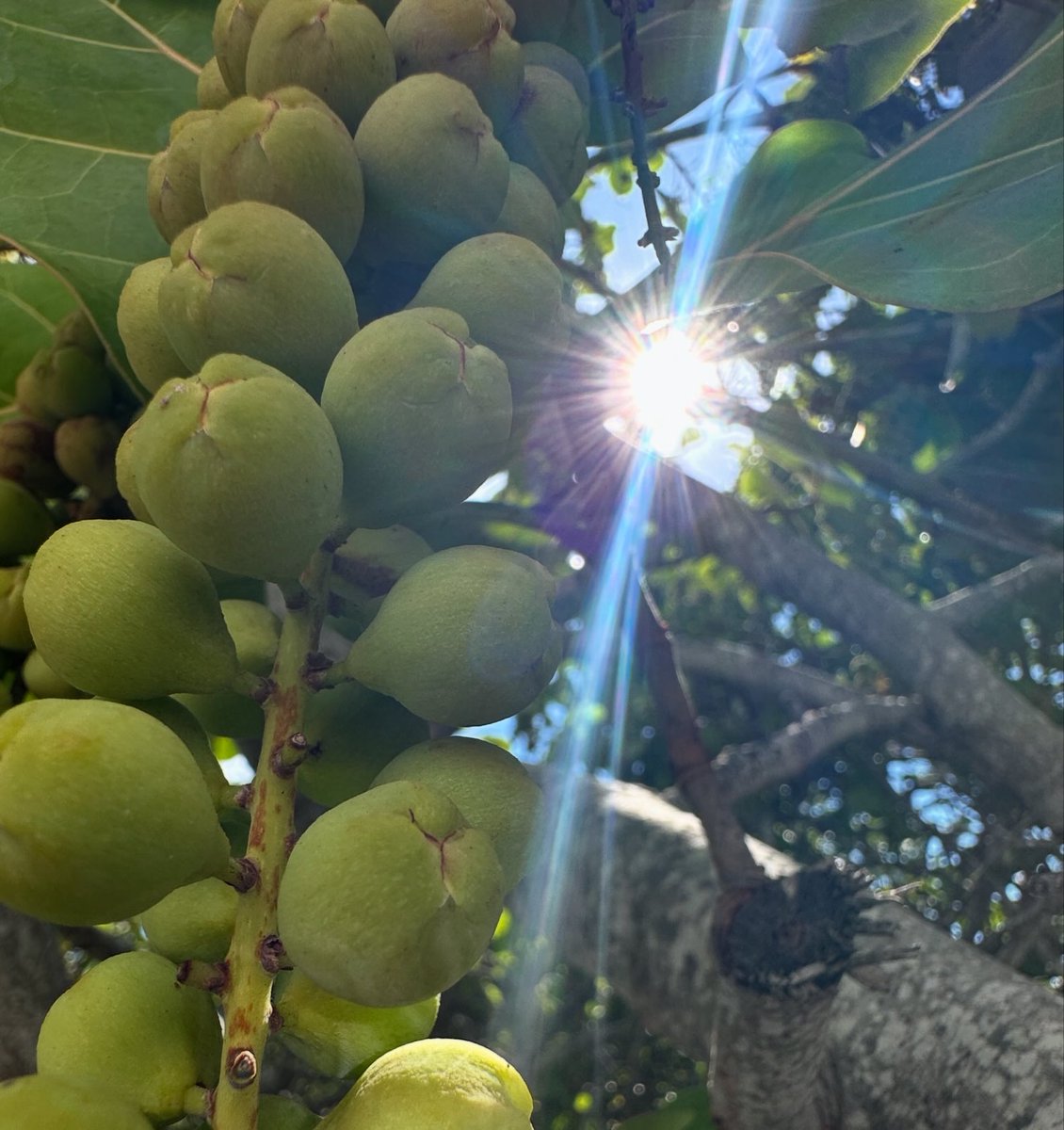 Maria Fadiman tweet media