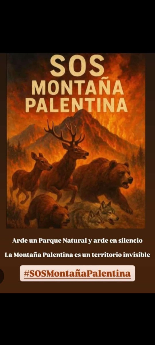 Esthertruka's tweet photo. Hasta cuándo nos van a ignorar? #PESOE #PP @sanchezcastejon @NunezFeijoo https://t.co/rwsDYcaYiv