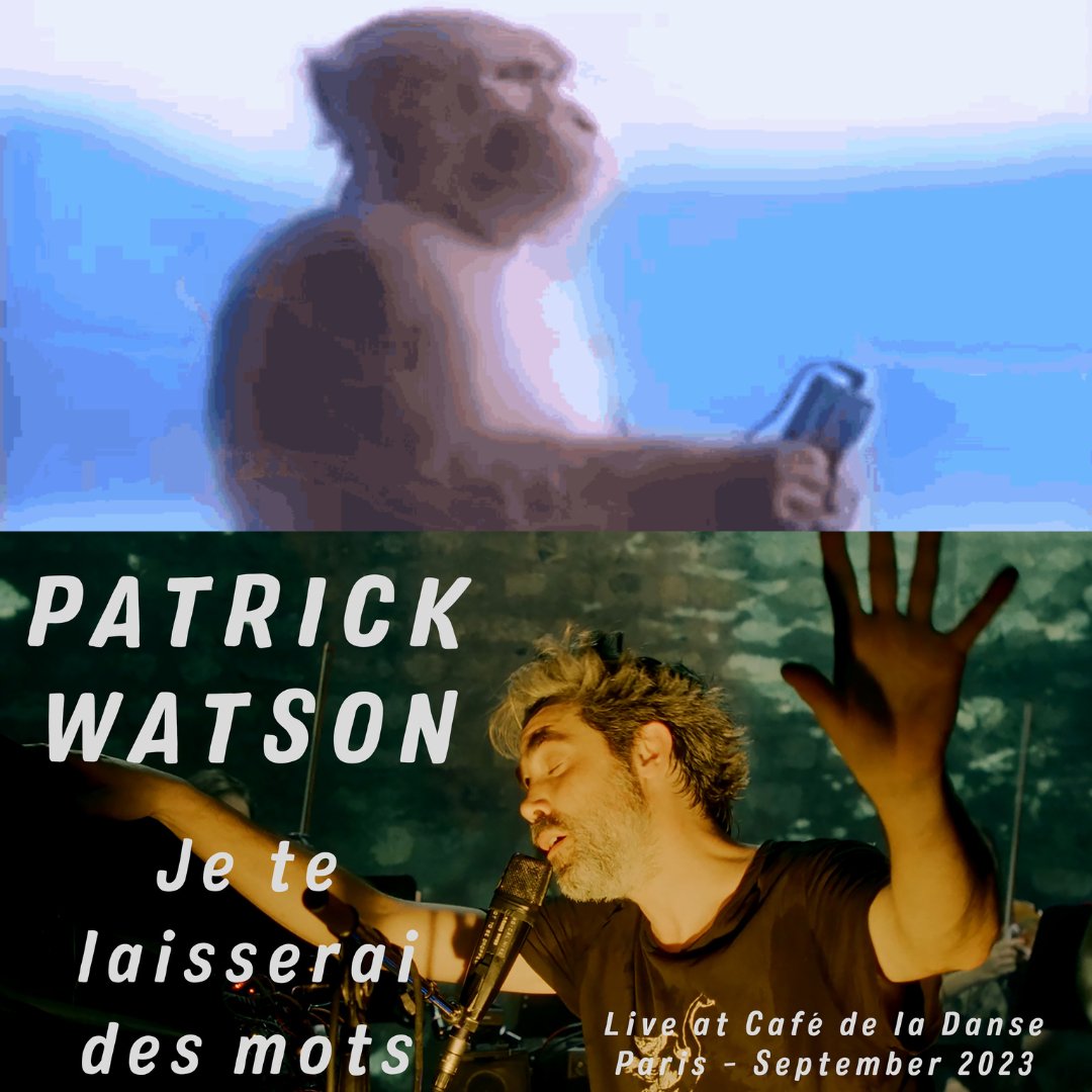 secretcityrcrds's tweet photo. It's always a spiral of emotions with Patrick Watson's 2023 Café de la danse performance 😅 #patrickwatson #cafedeladanse https://t.co/ln5swhZ9QO