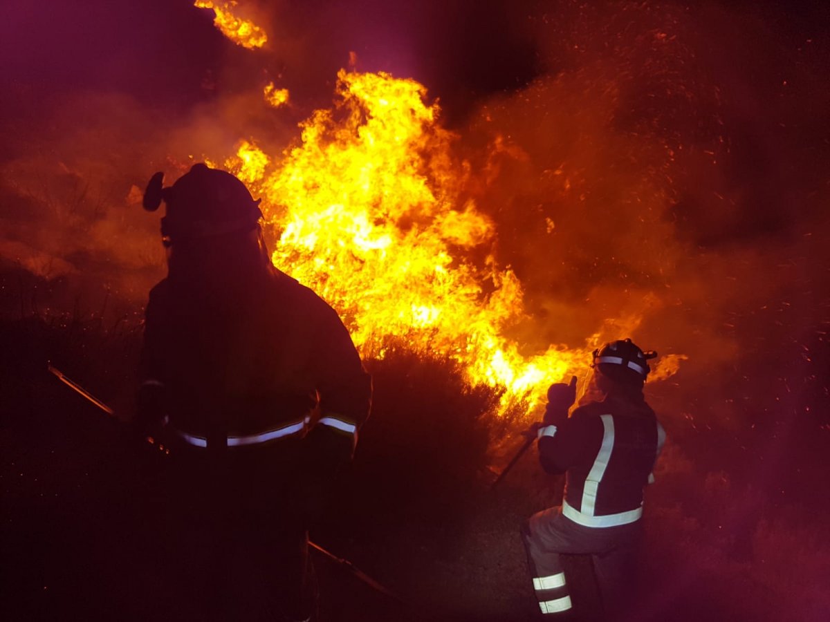 ‼️A CIG denuncia a “caótica xestión” da Xunta en materia de persoal de #incendiosforestais

⚠️O sector de Autonómica da CIG-Administración alerta de que se están a facer chamamentos en plena vaga de #lumes sen tempo para formar en prevención

ℹ️ tinyurl.com/2mzafaf3