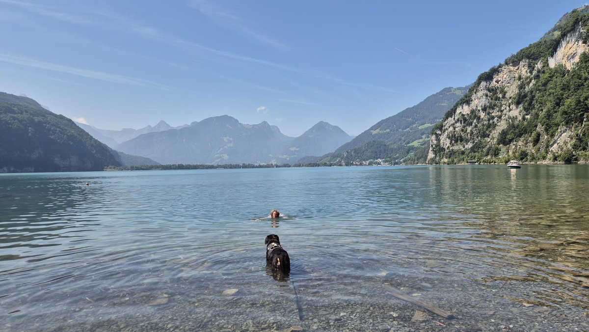 alootsma's tweet image. Hier zou ik wel willen wonen maarja de weg ernaartoe 😱 #walensee #zwitserland