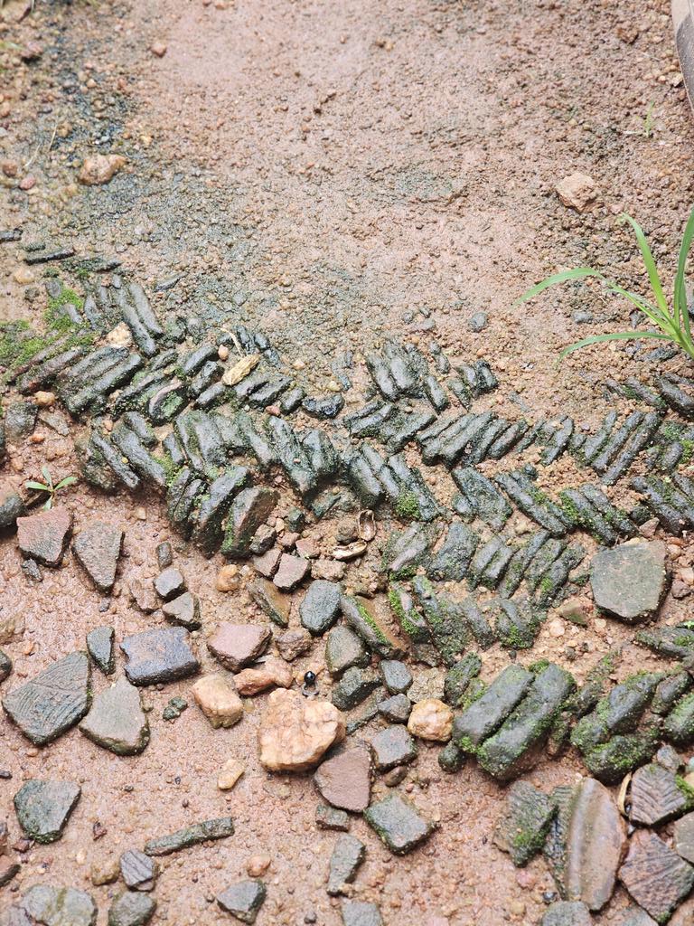Ancient potsherd pavement visible at Owo.
