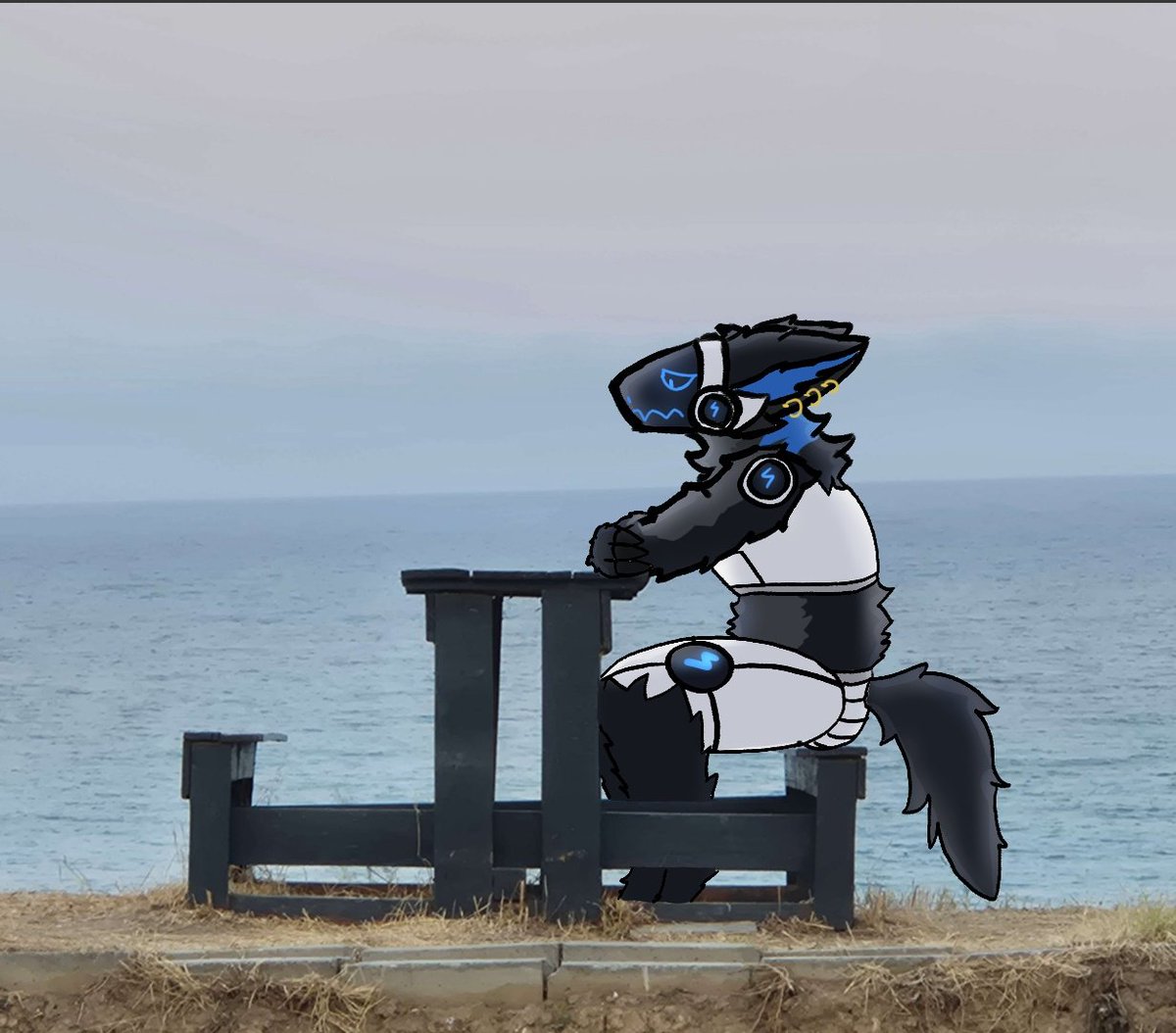 This one for some reason