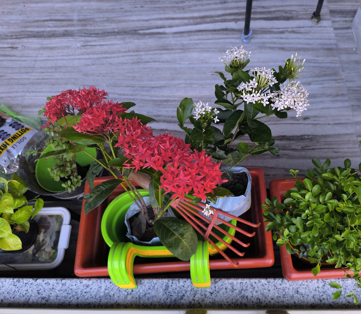 " आज फ़िर खुशियां ख़रीद लाया ! 🙂