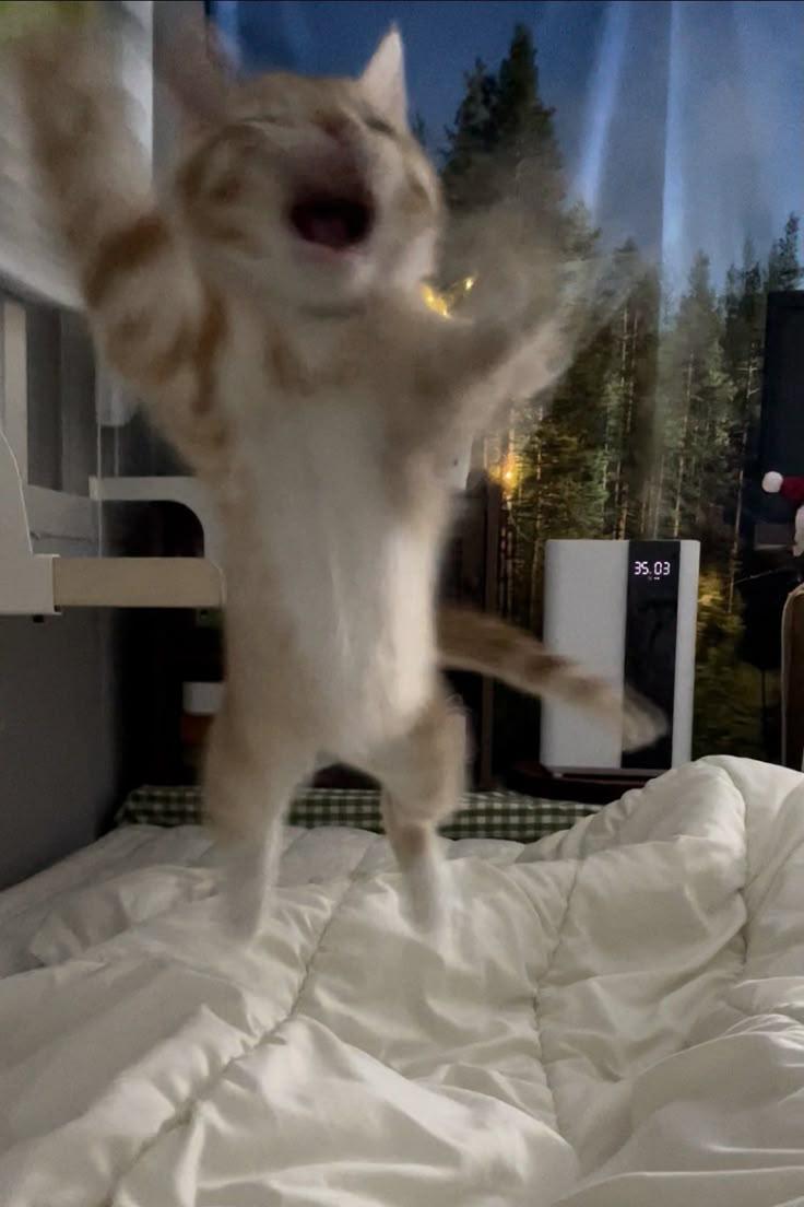 can I come over and do this