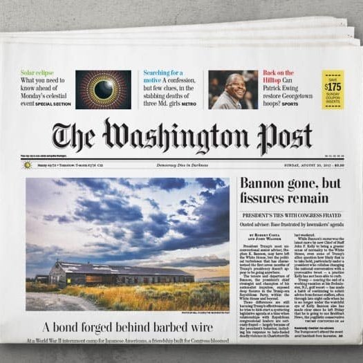 Fernanda Salles tweet media