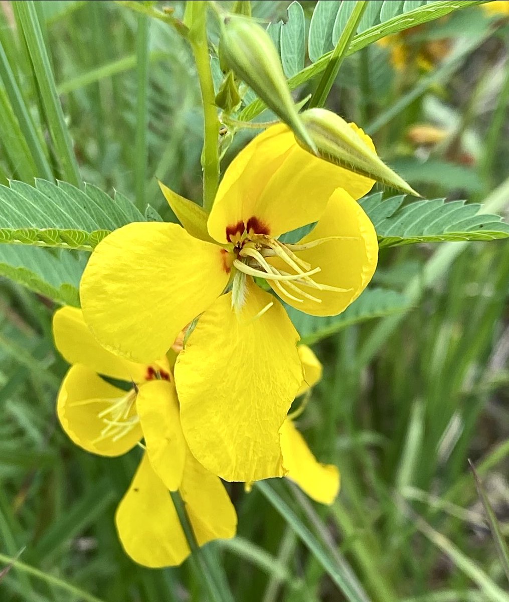 Happy Monday hope you’re having a good new week…💛