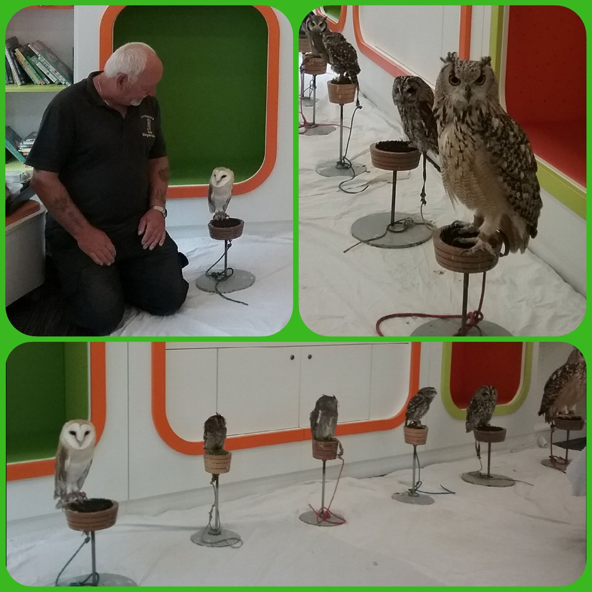 WFlibraries's tweet image. #Wakefieldlibrary had an amazing visitors today 🦉🦉🦉
Children enjoyed Yorkshire Owl experience of getting up close and discovering many interesting information about this birds.
👉🤳#SummerActivities for kids at ticketsource.co.uk #SummerReadingChallenge 👩‍👧‍👧📚🙌🏅