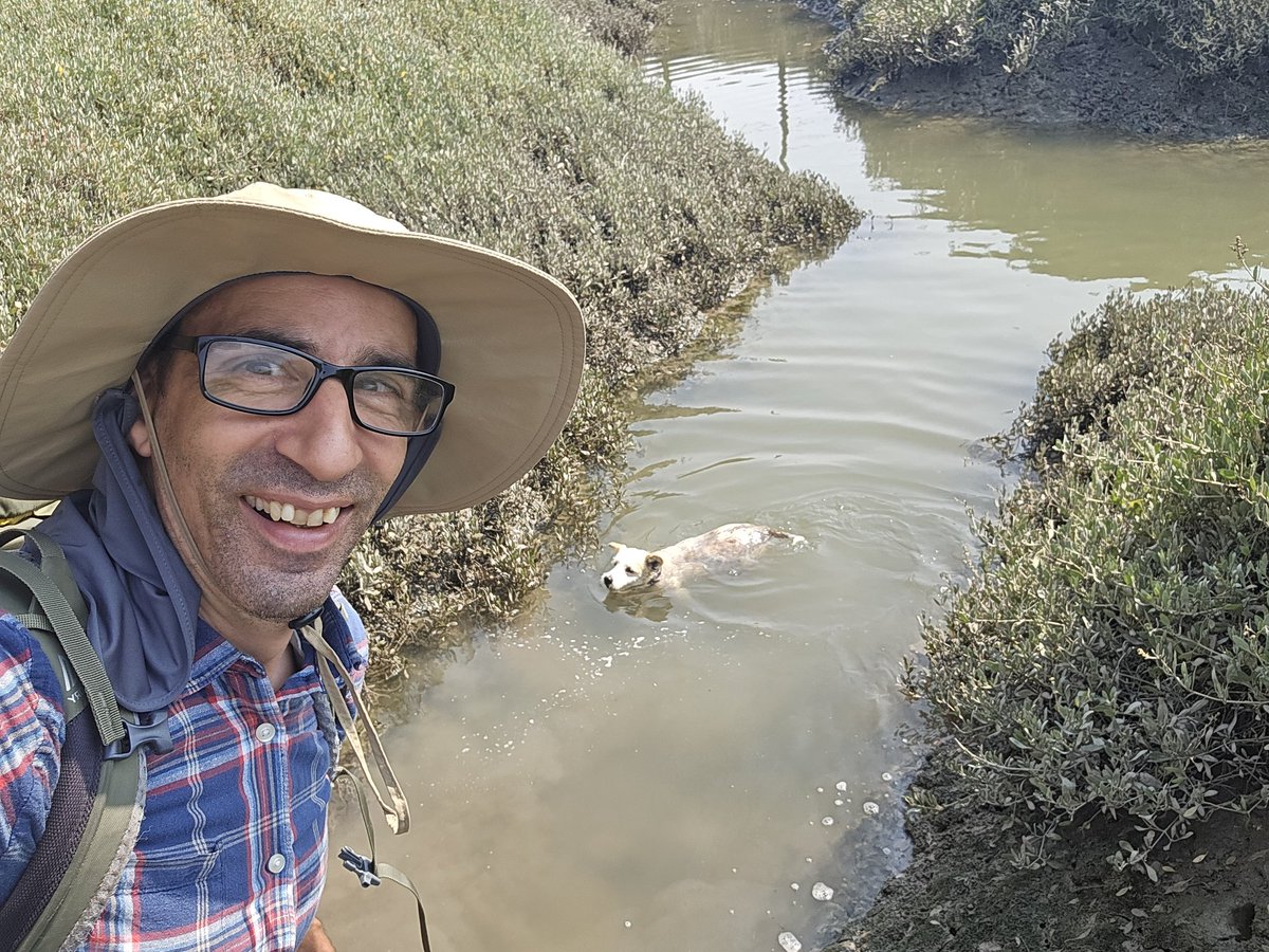 Lovely red sandstone and a Coastal Creek full of big mullet on Saturday near Laugharne 🙂🐾🏴󠁧󠁢󠁷󠁬󠁳󠁿