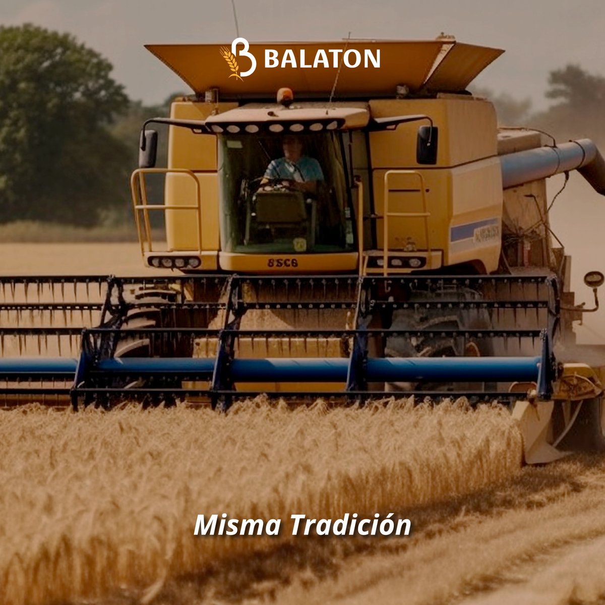 MolinosBalaton's tweet photo. El trabajo de todos los días necesita constancia.
Sostenemos la tradición panadera con procesos técnicos que garantizan rendimiento. Porque sabemos que para lograr buenos productos, la base tiene que ser confiable. De la mejor harina, los mejores productos. #MolinosBalaton https://t.co/nks1TycOGR