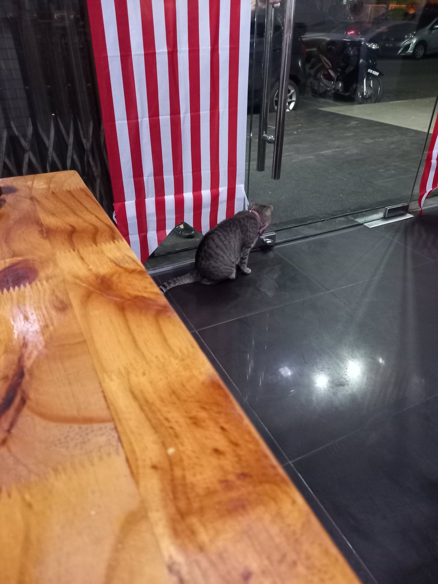 FiskaYenitaFK_'s tweet photo. I amazed betul kedai makan yang ada boss macam ni. Gemuk, sihat &amp; siap mandul. Lagi la rasa nak sapot. 😆 https://t.co/a4g2opQ3lz