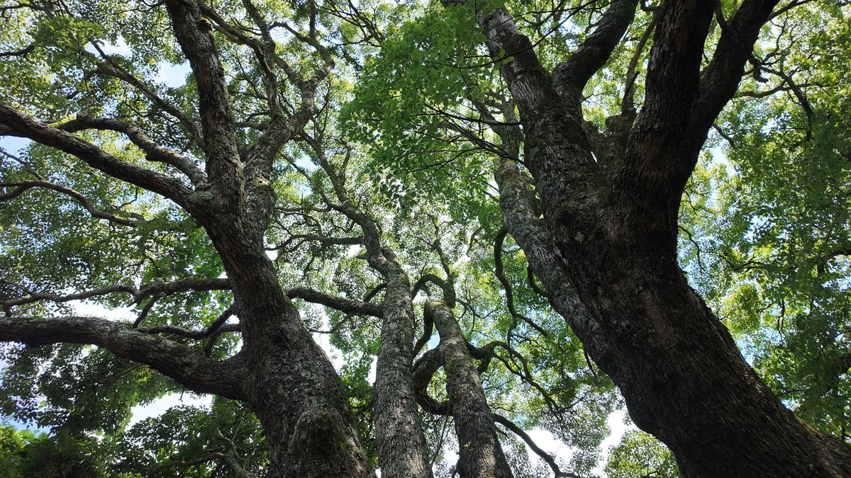 今年のお盆休みは無事に帰省できた。
墓参りしたり、実家の襖を修理したり、家事を手伝ったりと充実した休みでした。
明日からまた働きます。