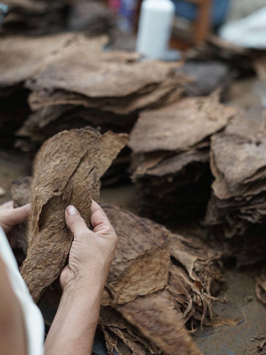 OlivaCigar's tweet image. We make each one unique
..
#CraftedWithPassion #cigarlife
#olivacigars #cigaraficionado
#craft #cigarlover