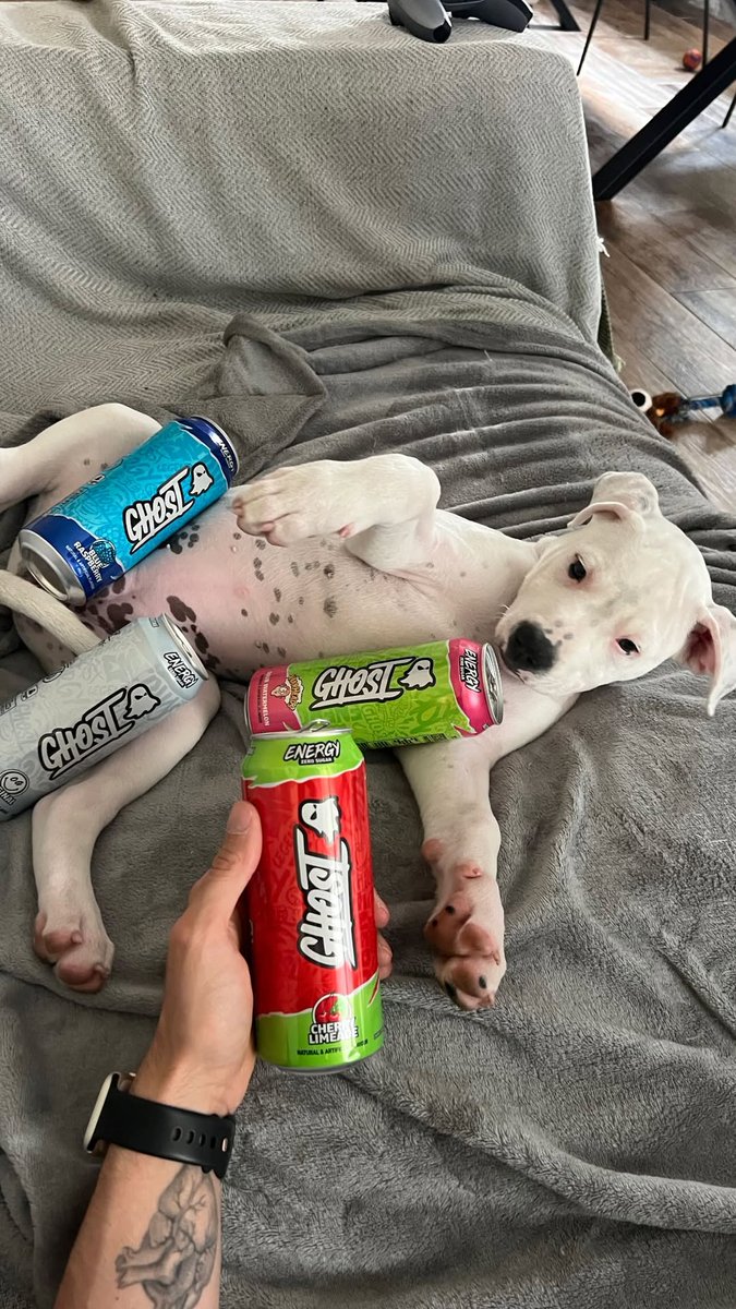 Spottie insists on choosing what I drink
