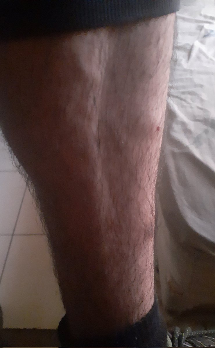 koda.gzz tweet media