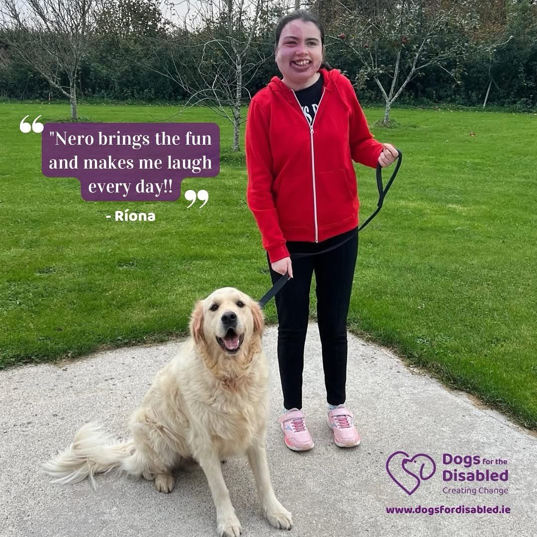 DogsForTheDisabled tweet media