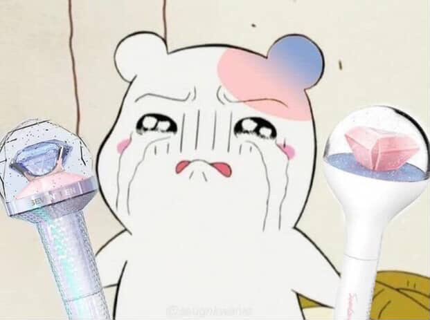 lovrehani's tweet photo. SEVENTEEN:                                      CARATS RN: https://t.co/6KG3KIfjGr