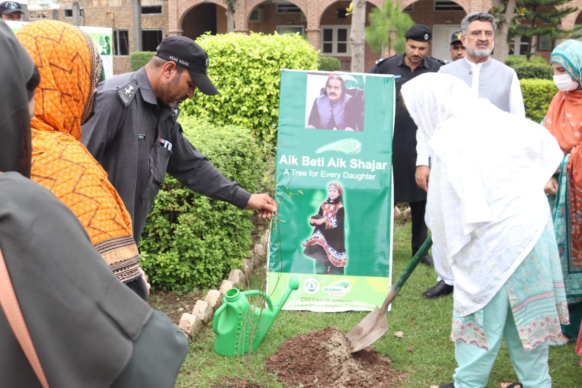Billion Tree Tsunami tweet media