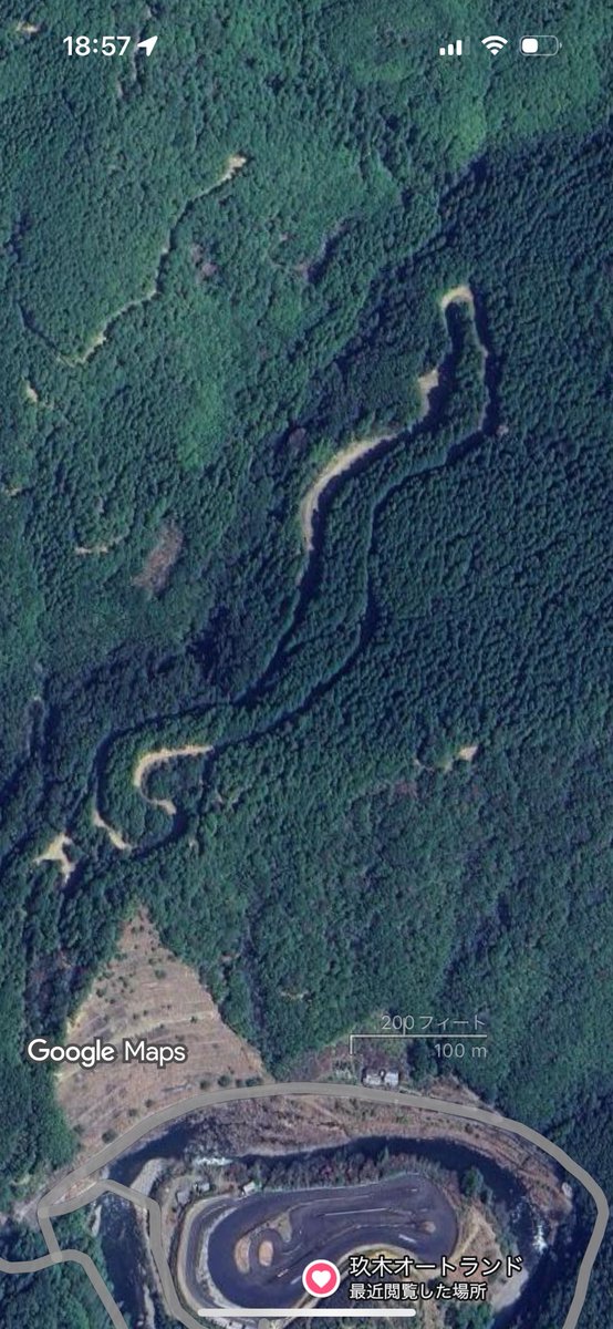 よっ菌 tweet media