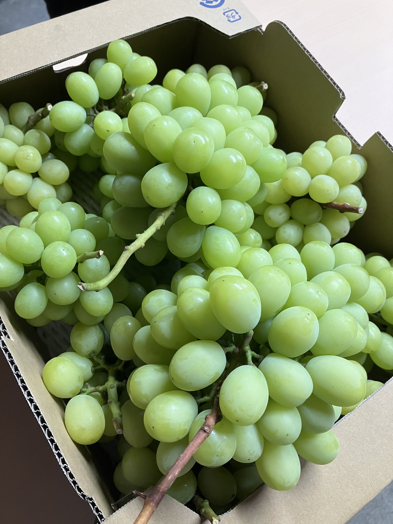 岡本桃園 Okamoto Peach Garden (@OkamotoPG) / X