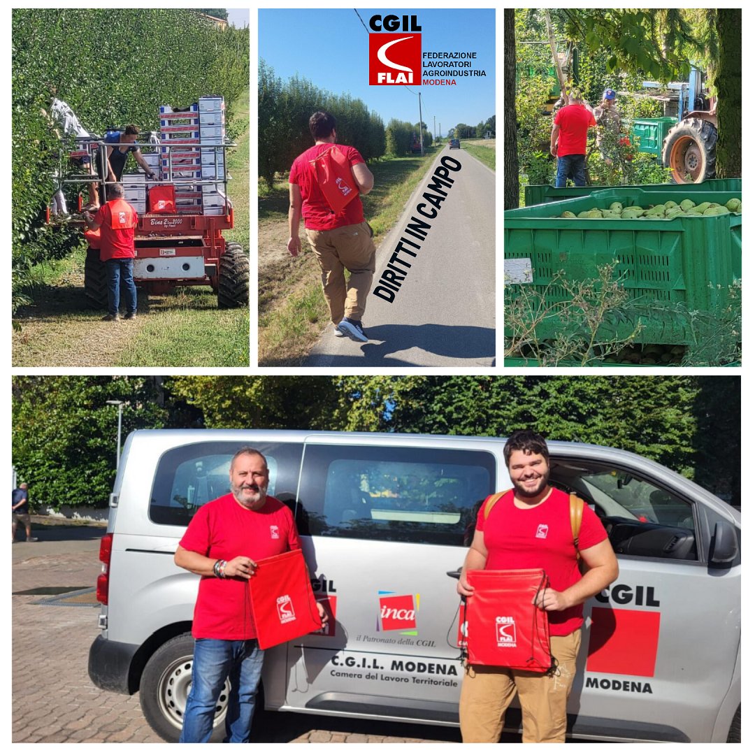 🟥 DIRITTI IN CAMPO: LE BRIGATE DEL LAVORO FLAI CGIL
Sono oltre 11 mila le lavoratrici ed i lavoratori agricoli nella provincia di #Modena 👇
cgilmodena.it/campagne-moden…

<a href="/FlaiCgilModena/">Flai-Cgil Modena</a> <a href="/er_flai/">FLAI CGIL ER</a> <a href="/flaicgil/">Flai Cgil nazionale</a> <a href="/cgilnazionale/">CGIL Nazionale</a> <a href="/ERCGIL/">CGIL Emilia-Romagna</a> <a href="/collettiva_news/">Collettiva</a> <a href="/danieledieci/">daniele dieci</a> <a href="/PinelliFederica/">federica pinelli</a>