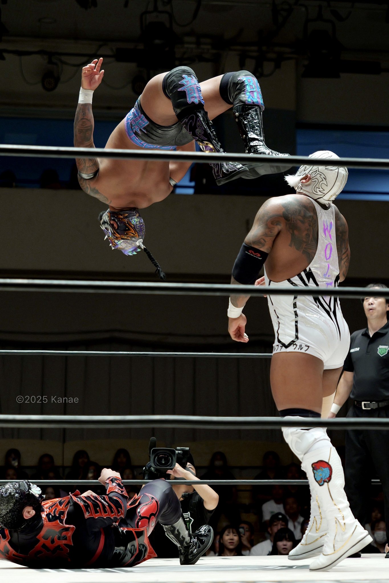 邦楽 Next Coming Compilation ! 邦楽 Next Coming Compilation ! 邦楽 Next Coming Compilation