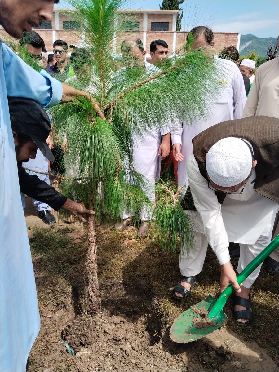 Billion Tree Tsunami tweet media