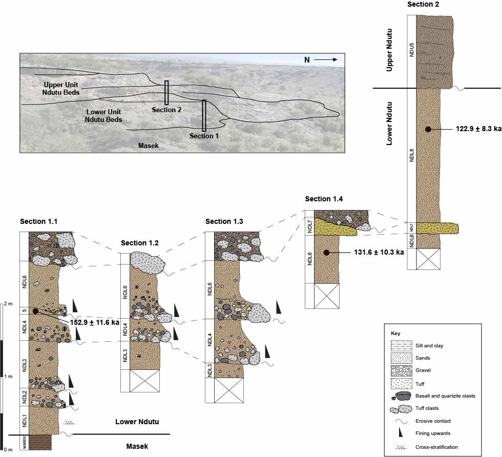 David M. Martin-Perea tweet media