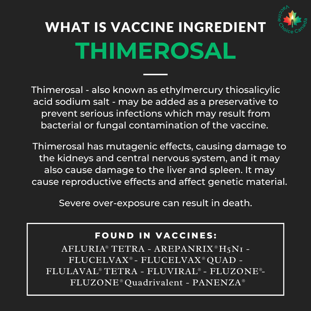 VaccineChoiceCA's tweet image. Were you aware that many vaccines still contain Thimerosal?

Learn more about vaccinations and the Canadian vaccine schedule -&amp;gt; Links in bio

vaccinechoicecanada.com/about-vaccines…

#Thimerosal #mercury #toxicingredients #ingredientstoavoid #HealthCanadaApproved