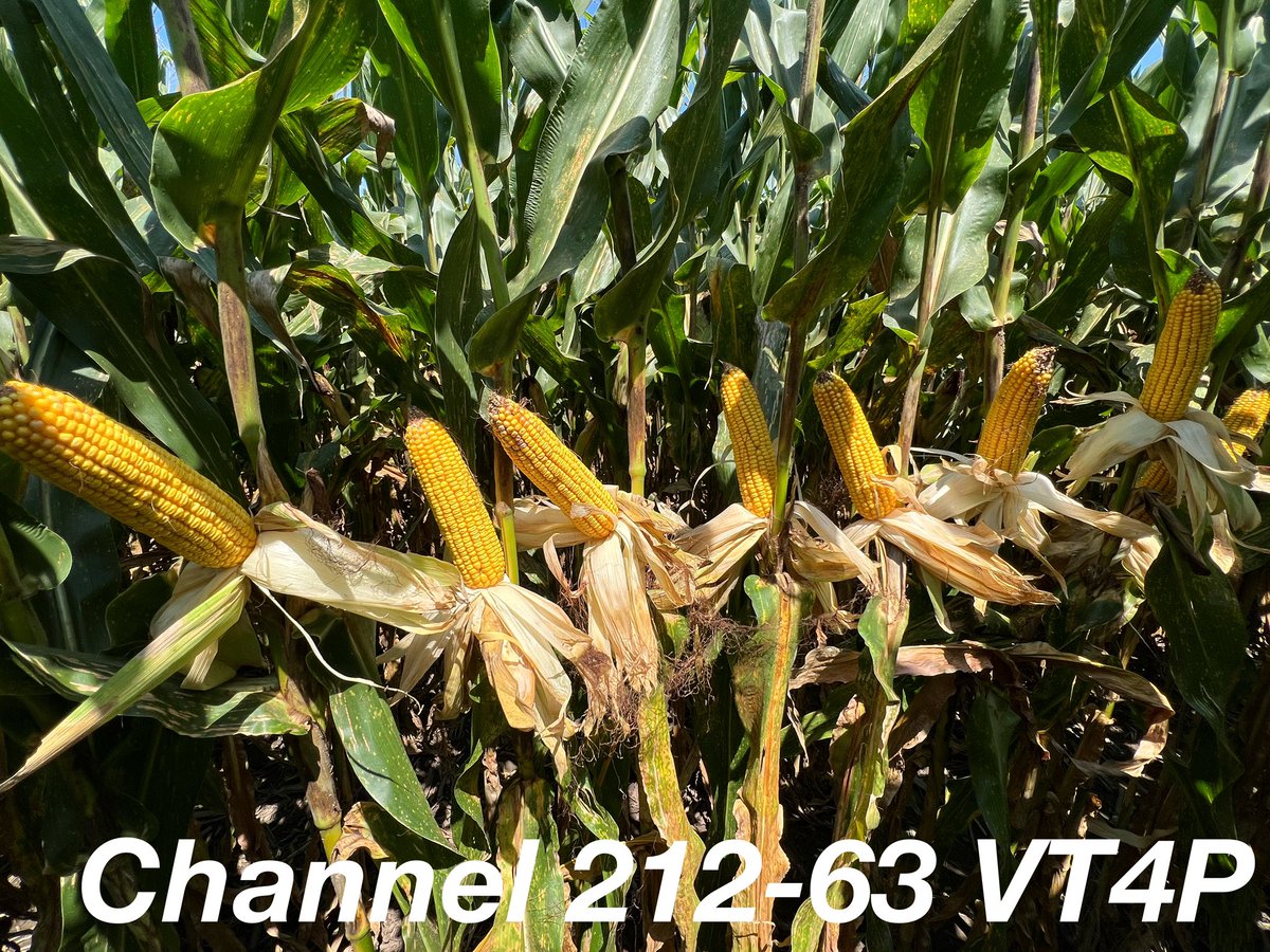 Alliance Ag Solutions tweet media