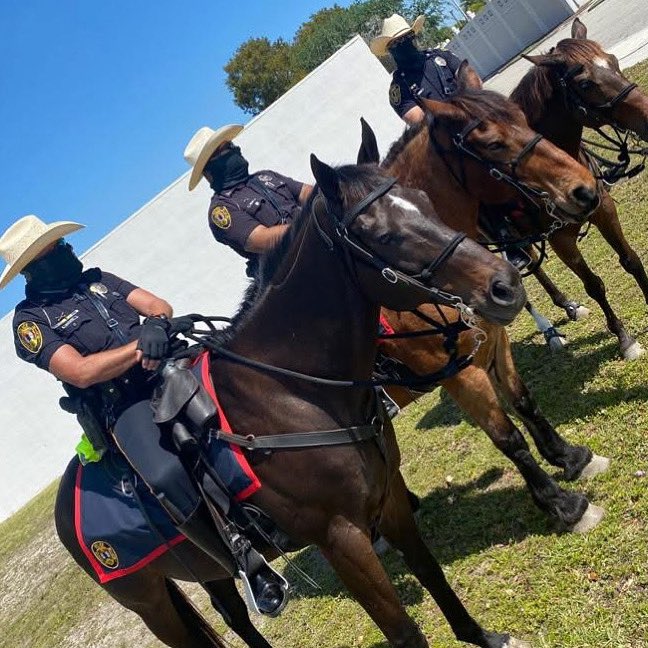 Starting the week strong alongside our dedicated Mounted Patrol officers 🐴. Their presence keeps our community safe while building positive connections with the public. Here’s to a week of service, safety, and strength! 💙

#PBA #MountedPatrol #SouthFloridaPBA