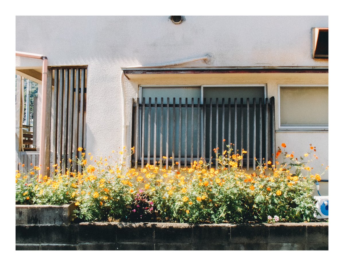 aaa_delicious10's tweet image. あちー

#FZ55