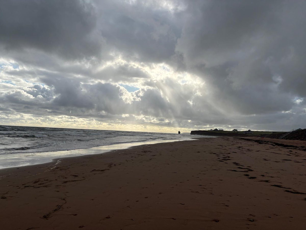 Start your Monday with a fresh <a href="/ArleneBynonShow/">Arlene Bynon Show</a> 

#AirCanada strike, #Zelenskyy at the #Whitehouse, &amp; its #Byelection day

<a href="/AGMacDougall/">Andrew MacDougall</a> 
<a href="/GrahamDavidA/">David A. Graham</a> 
<a href="/bborzyko/">Bryan Borzykowski</a> 
<a href="/GregMercerGlobe/">Greg Mercer</a> 
&amp; CEO of <a href="/COVE_Ocean/">COVE 🌊</a>, Melanie Nadeau 

For #PoliticalPunch we have <a href="/CamHolmstrom/">Cam Holmstrom</a> &amp; <a href="/Will_W_Stewart/">Will Stewart</a>