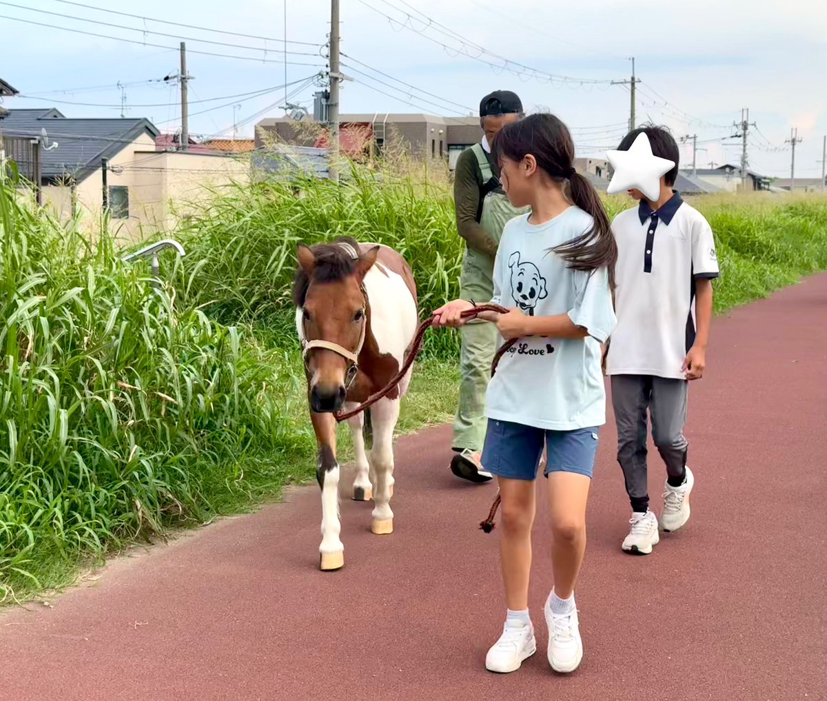 シュナウザー - Search / X