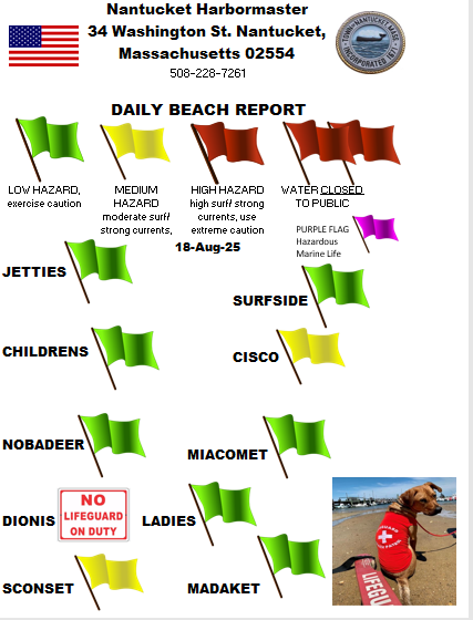 ackharbormaster's tweet image. The beaches are open for the day.  Dionis beach will no longer be guarded this season.  
Please keep all kayas, paddle boards, boogey boards and pool toys on shore, due to the strong north winds today. 
#usecaution
#staysafe
#wegotyou
