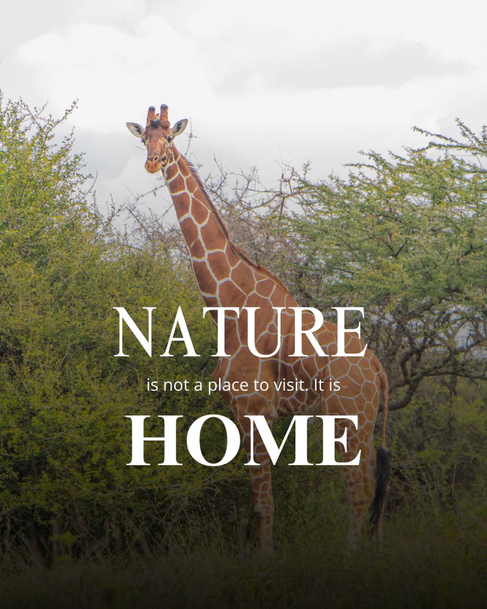 Happy New Week 🌱💚

#HappyMonday #NatureLovers